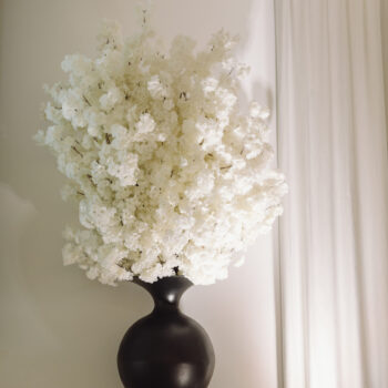 Akademia Wytwornia Slubow 264