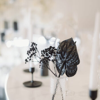 Akademia Wytwornia Slubow 279